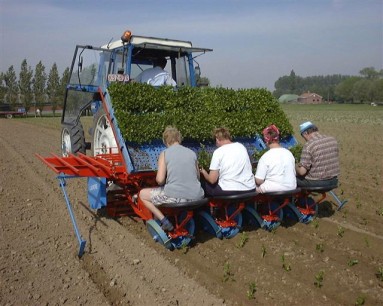 Primitive planting machine powered by cheap labour